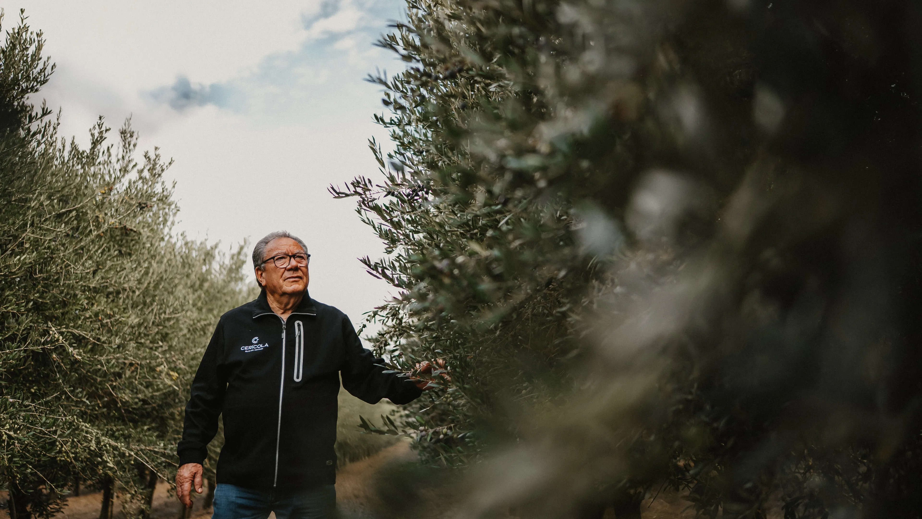 citazione pietro leone