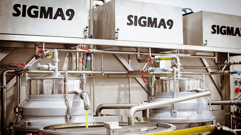 oleificio cericola 0002 dalla raccolta all olio denocciolato 4 estrazione centrifuga decanter bis