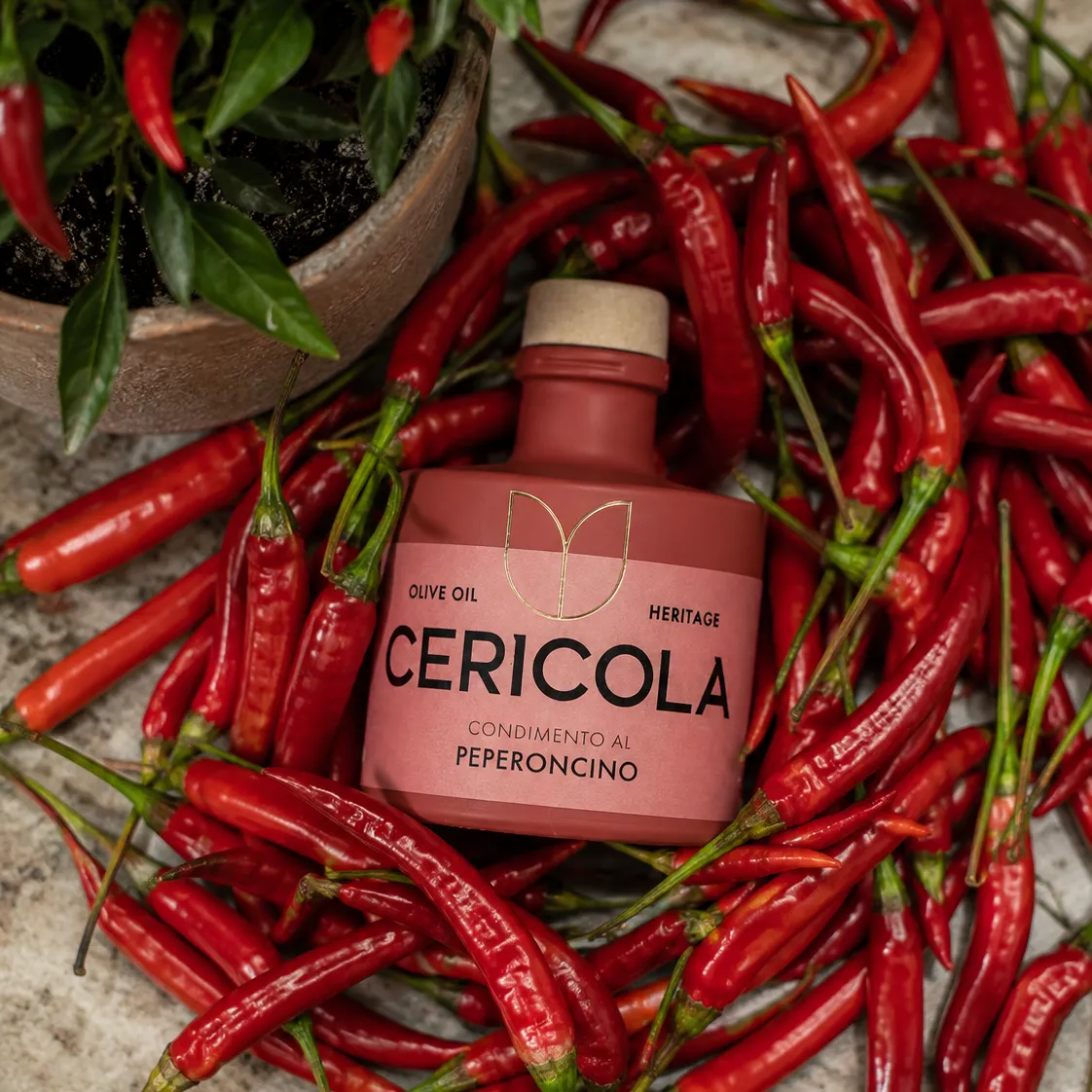 condimento a base di olio extra vergine di oliva aromatizzato al peperoncino oleificio cericola social 2